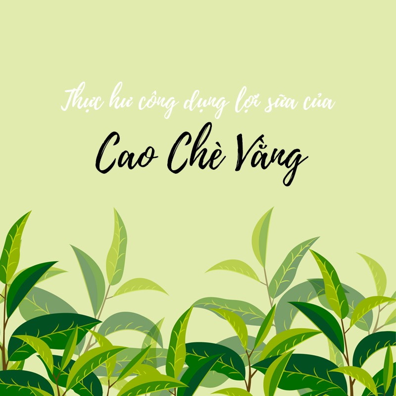 thuc-hu-cong-dung-loi-sua-cao-che-vang