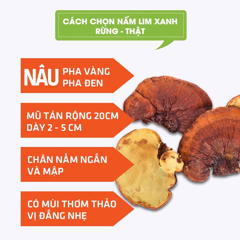 Cach-Chon-Nam-Liem-Xanh-Rung