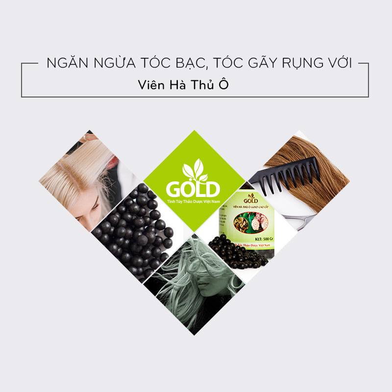 Ngan-Ngua-toc-gay-rung