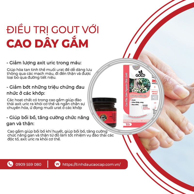 Cao-Day-Gam-Huong-Di-Moi-Trong-Viec-Dieu-Tri-Benh-Gout (1)